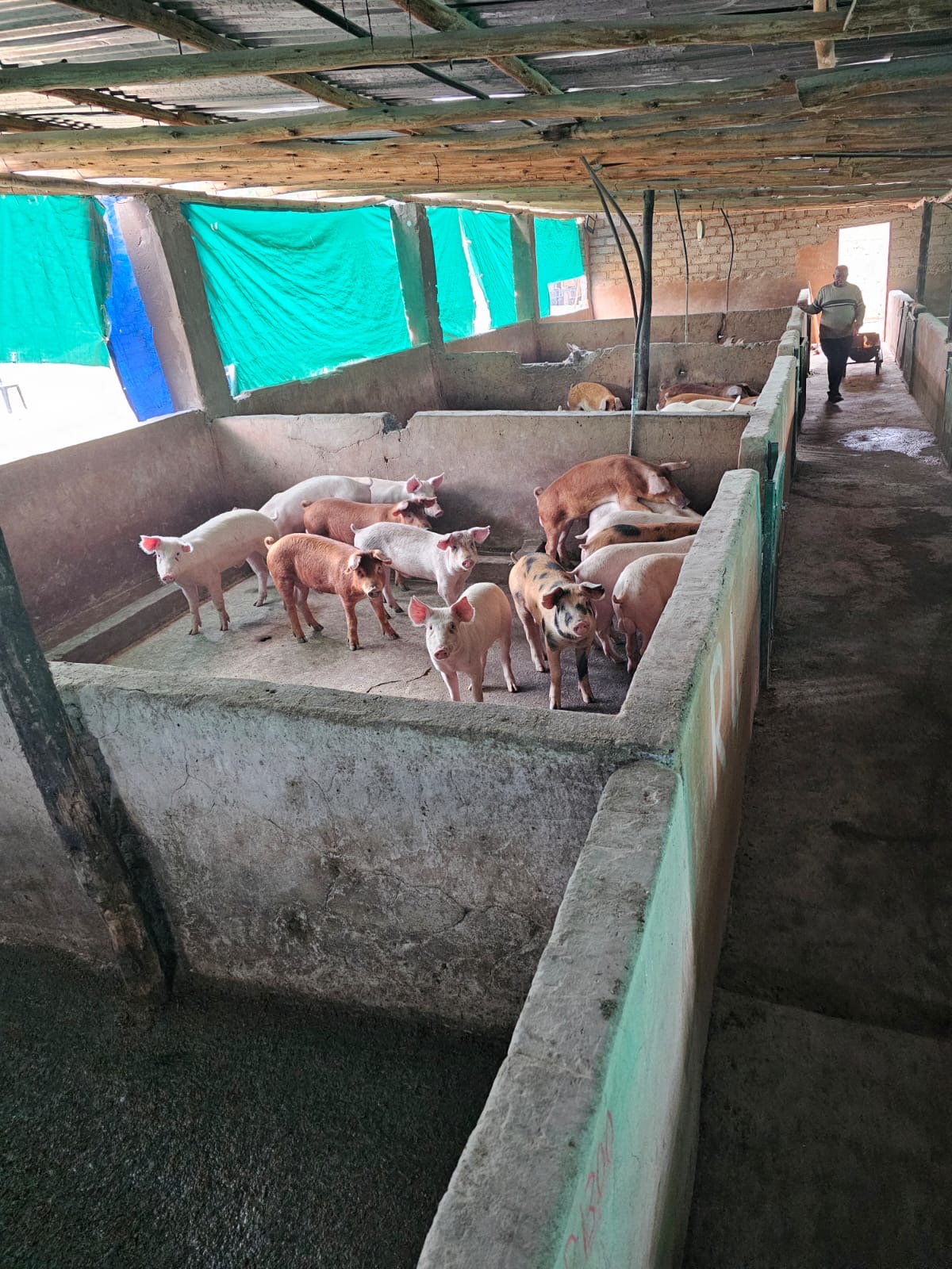 6d2e25a3-3b70-47a6-8793-ae086ab569a9